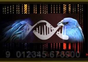 tecnologia web, software, recursos web